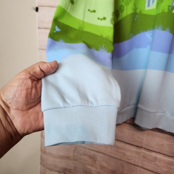 NWT Loungefly Disney Sweatshirt Adult 2X Sleeping Beauty Castle Fairies Hoodie - Picture 6 of 16